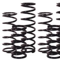 Conventional Springs